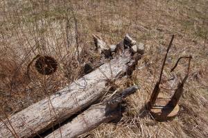 Rabbits by Maddy Smith - Copy